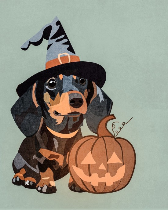 Halloween Dachshund